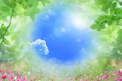 Best 20+ Cool Windows 8 Wallpapers HD 1920x1200 Backgrounds