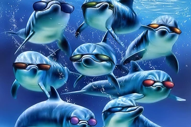 Dolphins Free Desktop Backgrounds Free Wallpapers Image