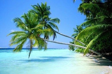 Free Nature Wallpapers For Desktop Wallpapers HD Wide