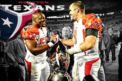 Houston Texans HD Wallpapers