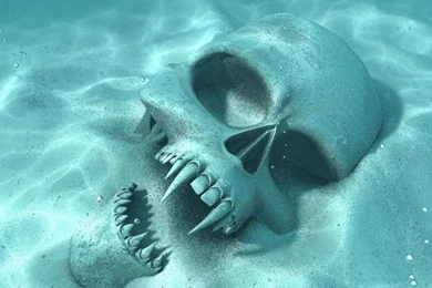 Wallpapers For Cell Phones