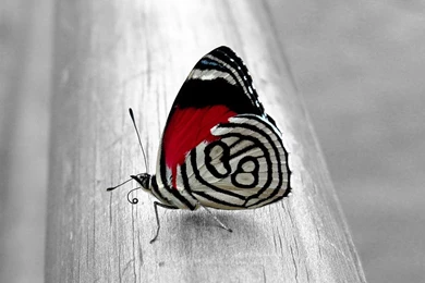 Unique Wallpapers For Desktop Wallpapers Cave