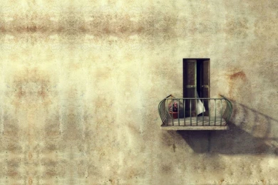 Flower Wallpapers For Walls HD Wallpapers Pretty