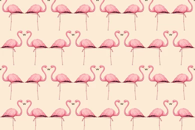 Flamingo In Peach And Pink Wallpapers Trinetollefsen Spoonflower