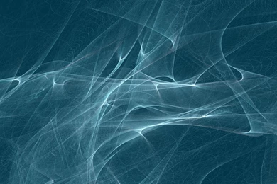 Backgrounds HD Weaving An Intricate Web Wallpapers For iPad 4 ...