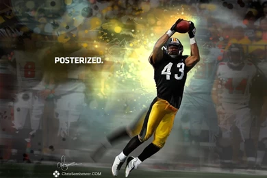 Panorama: Troy Polamalu Gets Posterized