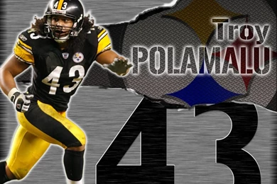 Troy Polumalu Pittsburgh Steelers
