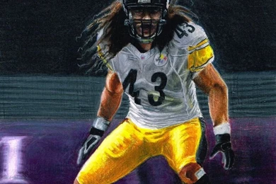 43 Troy Polamalu By Kalmek182 On DeviantArt