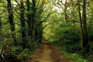 Landscapes Wallpapers