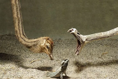 Unique Digital Illustration And Design Wallpapers 37 Wallcoo.net