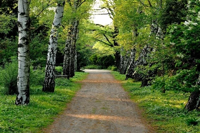 Scenery Wallpapers Free Download Desktop Backgrounds