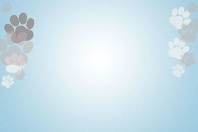 Welcome To Wagg & Walk Dog Walking Service Southampton