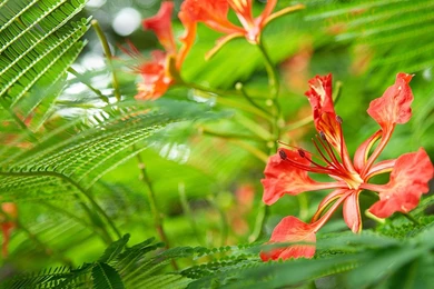 Windows 8 HD Wallpapers HD Images New