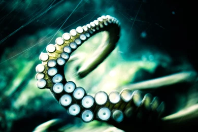 Deep Water Tentacles Wallpapers, Deep Water Tentacles Myspace ...