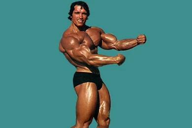 Arnold Schwarzenegger Wallpapers and Pictures2.jpg