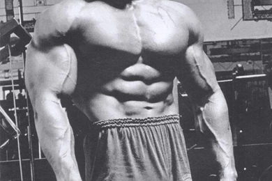 Arnold Schwarzenegger – The Best Gallery Of This Fitness ...