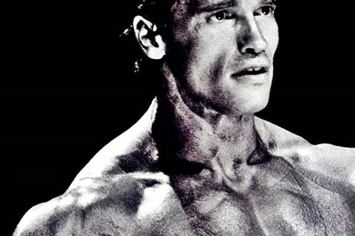 Arnold Schwarzenegger Wallpapers And Unseen Fitness ...