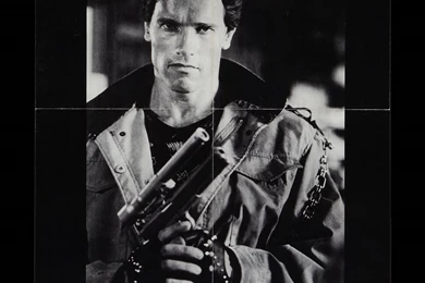 Terminator Arnold Schwarzenegger Wallpapers (