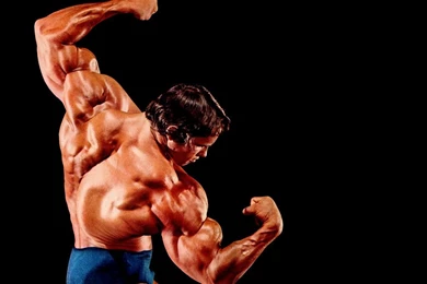 Wallpapers Fitness De Arnold Schwarzenegger Culturismo 1024x768 ...