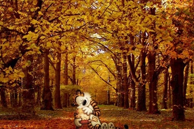 Calvin And Hobbes Wallpapers By Mtbp On DeviantART