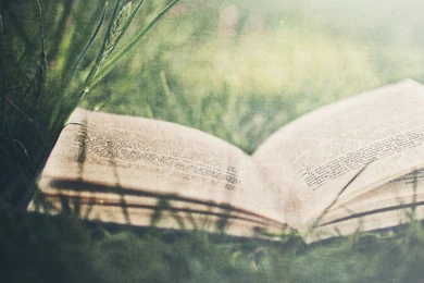Grass Books Wallpapers