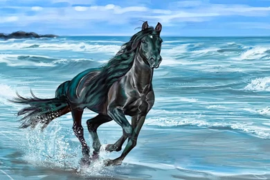 Running Horse Wallpapers Hd Wallpapers 659588