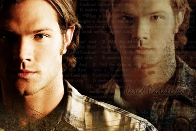 Jared Padalecki Jared Padalecki Wallpapers (7197484) Fanpop