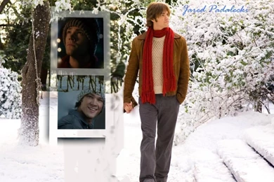 Jared Wallpapers Jared Padalecki Wallpapers (3203019) Fanpop
