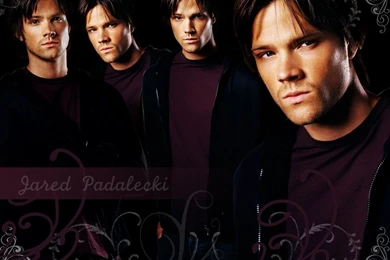 Jared Padalecki Supernatural Wallpapers (6493016) Fanpop