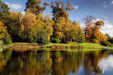 iPhone Live Wallpapers