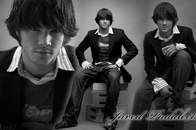 Jared Padalecki Wallpapers By Kiss61 On DeviantArt