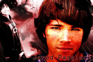 Jared Padalecki Wallpapers By CertainlyLostFameGal On DeviantArt