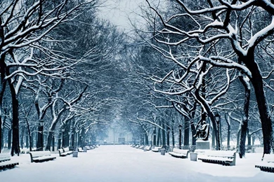 Winter Season Wallpapers Crazy Frankenstein