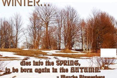 Cute Winter image with quote wallpaper.jpg