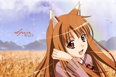 171 Spice And Wolf HD Wallpapers