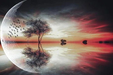 Beautiful Moon Above The Tree Wallpaper,Fantasy HD Wallpapers ...