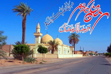 Free Wallpapers Download For Mobile Phones Desktop Backgrounds