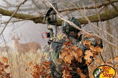 Pse Deer Hunter Compound Bow, Deer Hunting Bows