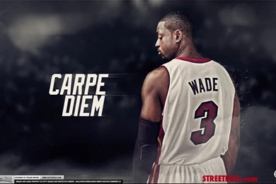 Dwyane Wade Shoes 2013 Wallpaper.