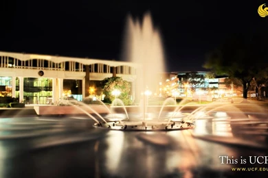 Reflecting Pond At Night 1920x1200 Wallpapers