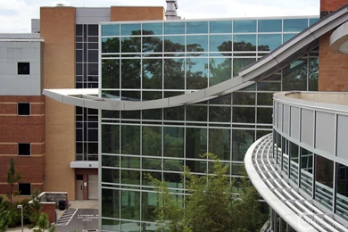 Click Here To Download Centric Magazine UCF Rooftops Wallpapers 2 ...