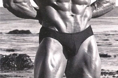 frank zane high def body скачать