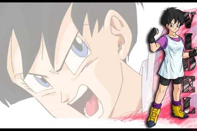 DBZ Warriors Widescreen Dragon Ball Z Wallpapers Of Goku, Vegeta ...