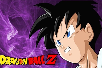 VIDEL WALLPAPER By DragonOfDRingz123 On DeviantArt