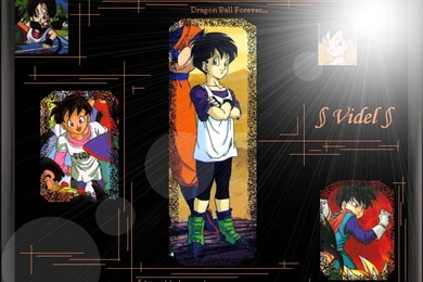 Videl Wallpapers By Videl Gohan On DeviantArt