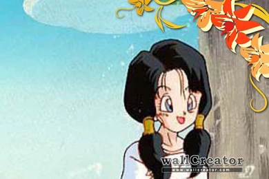 Videl Form Dbz 1024 / 768 Wallpapers