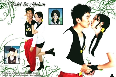 DeviantArt: More Like Wallpapers Gohan X Videl By TeaMazaki