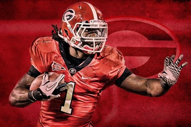 Georgia Bulldogs