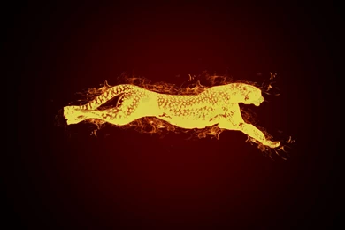 Cheetah Wallpapers By Soursensationz On DeviantArt