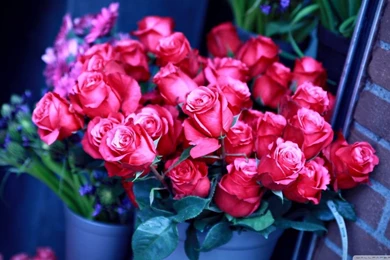 Wallpapers Desktop Full Screen Hd Desktop Backgrounds